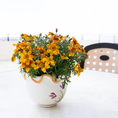Eden Apartment Paphos